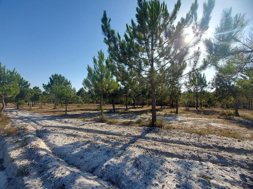 Rural land in urban perimeter 1.3 ha, Lagoa de Santo André, Santiago do Cacem 2662931697