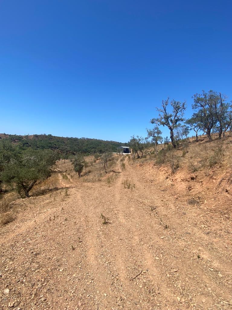 Terreno Rústico 5.8 ha, São Bartolomeu da Serra, Santiago do Cacem - Imagem 24