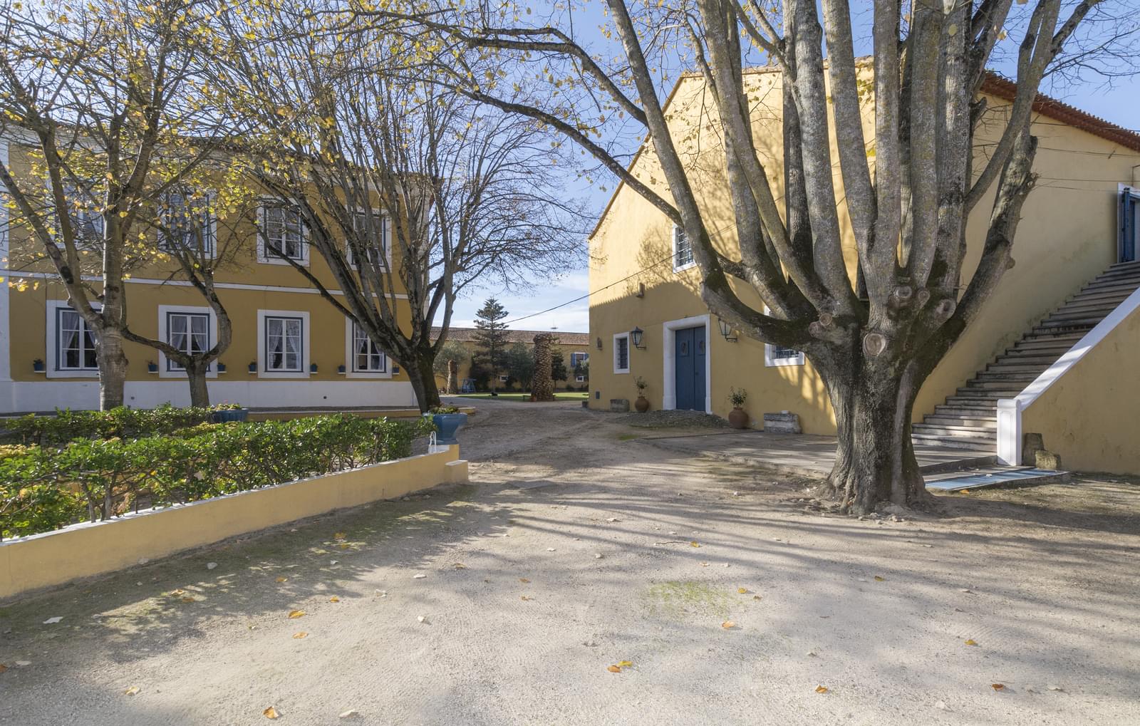 26 Bedroom Farm/Ranch/Plantation's Image 8