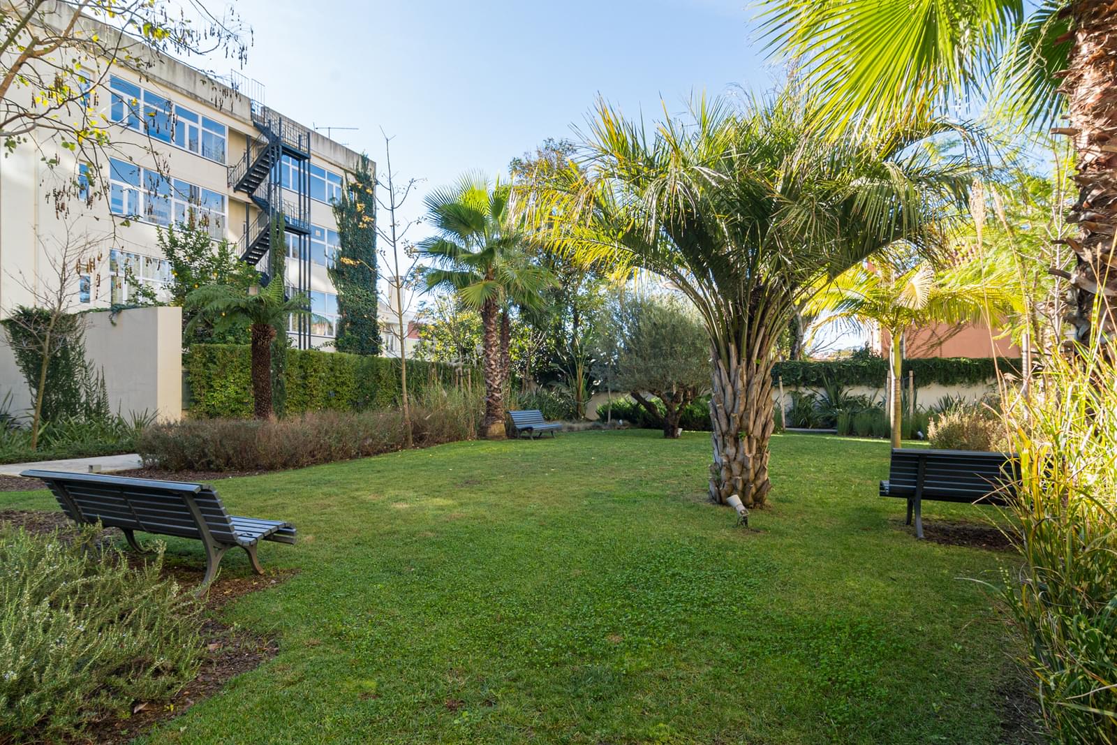Apartamento T1 com vista, Príncipe Real, Lisboa - Imagem 24