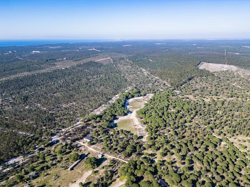 Rural land 6.7 ha, Melides, Grandola 3919539268