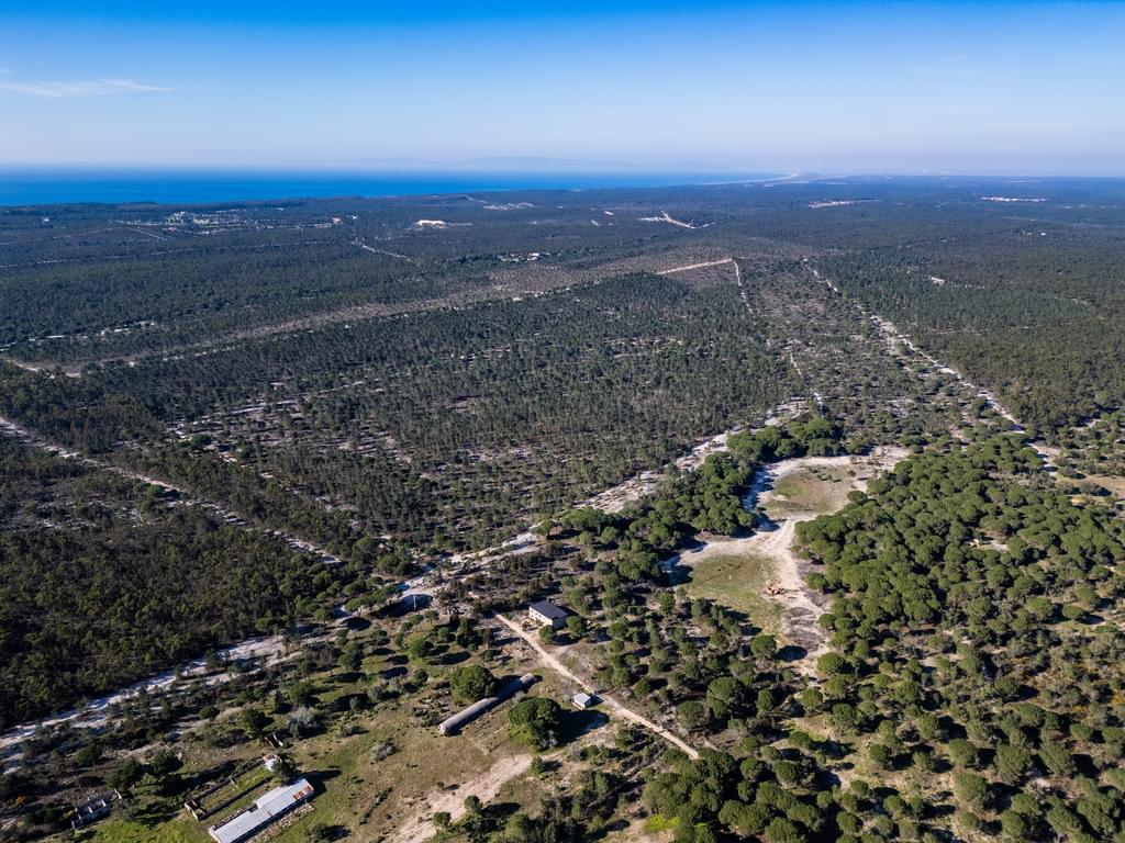 Rural land 6.7 ha, Melides, Grandola 3919539268
