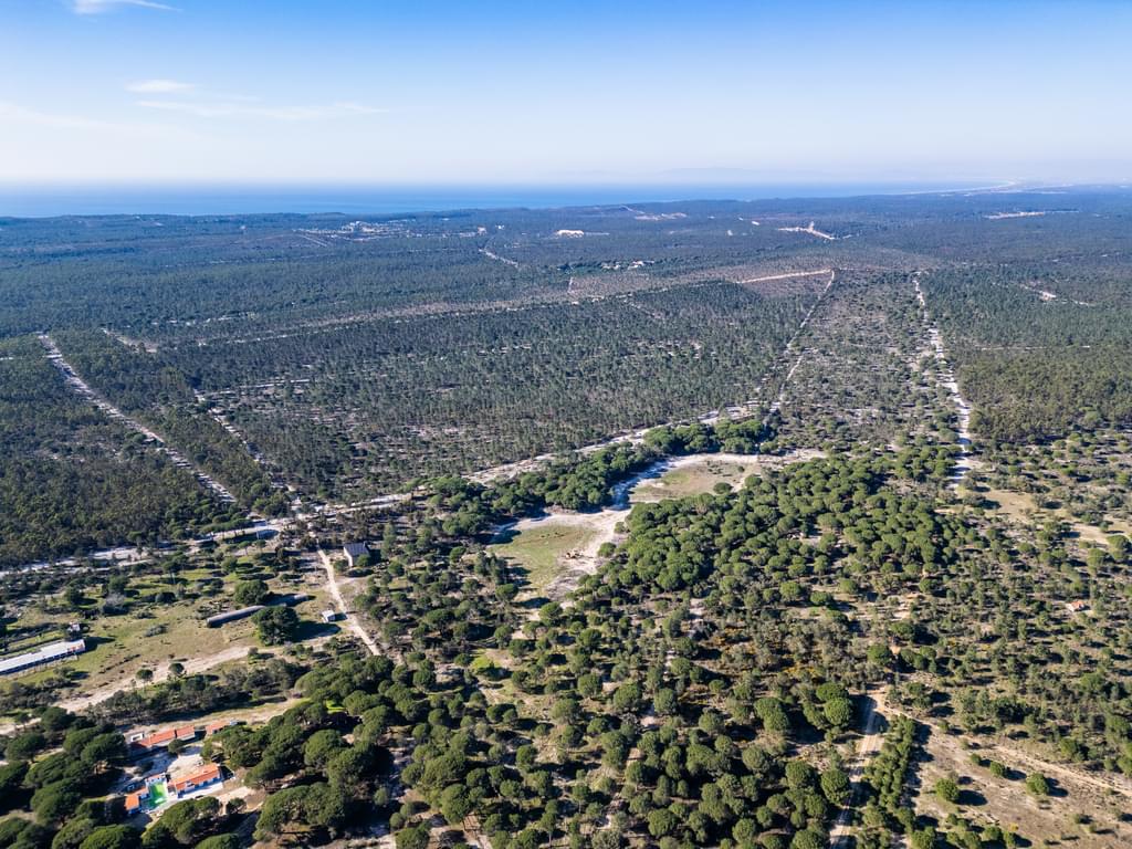Rural land 6.7 ha, Melides, Grandola 3919539268