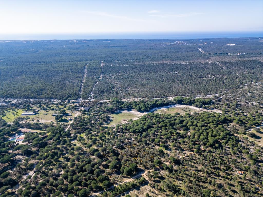 Rural land 6.7 ha, Melides, Grandola 3919539268
