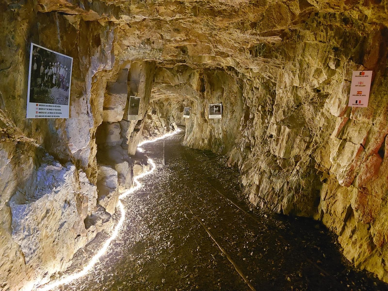 Quinta 5.3 ha, Covilhã - Imagem 10