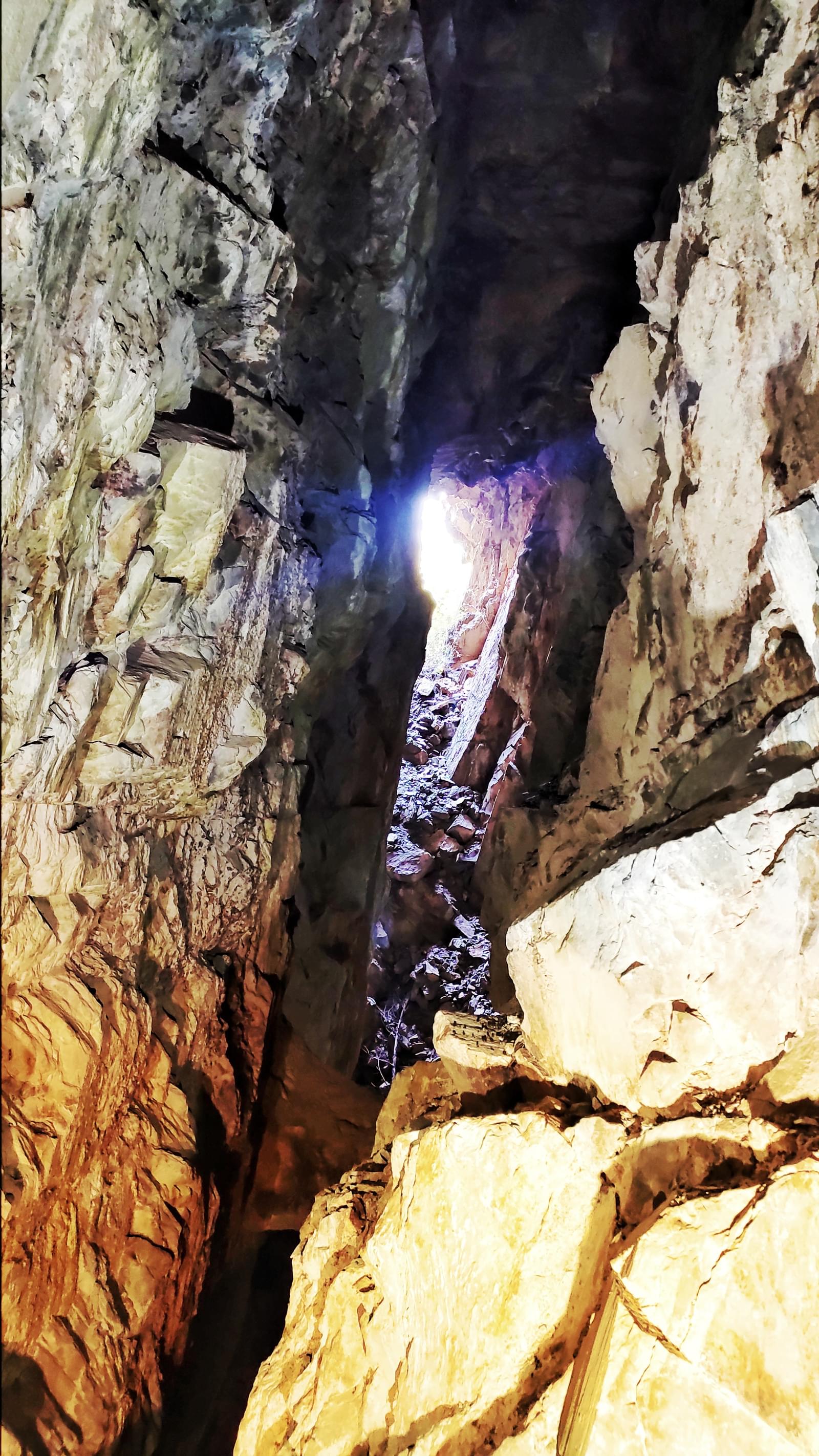 Quinta 5.3 ha, Covilhã - Imagem 52