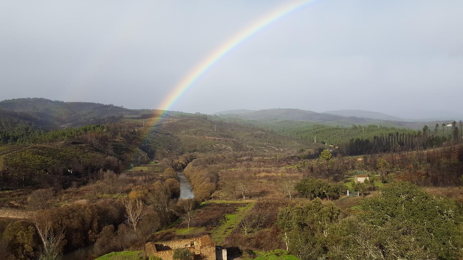 Quinta 5.3 ha, Covilhã - Imagem 19