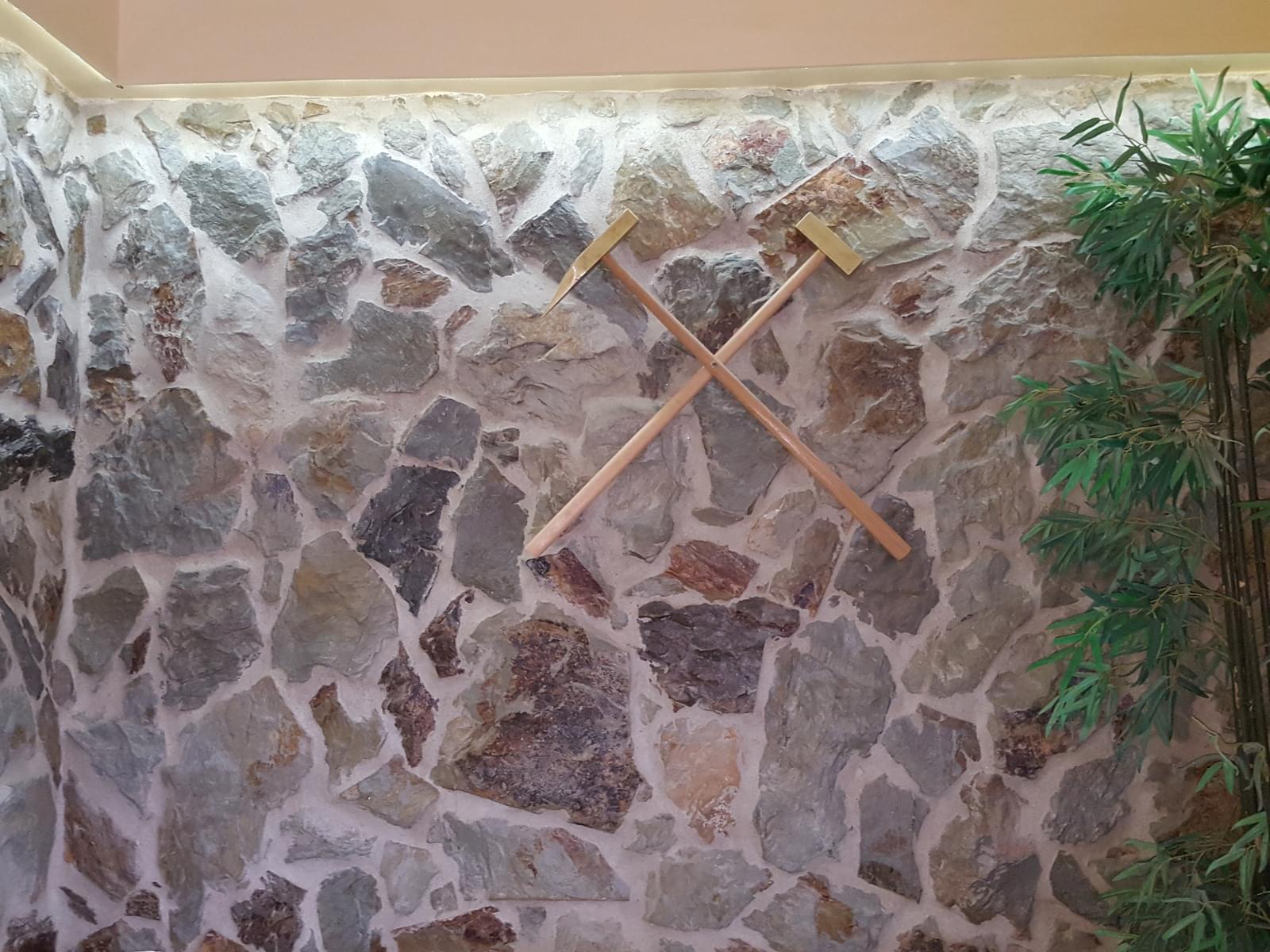 Quinta 5.3 ha, Covilhã - Imagem 27