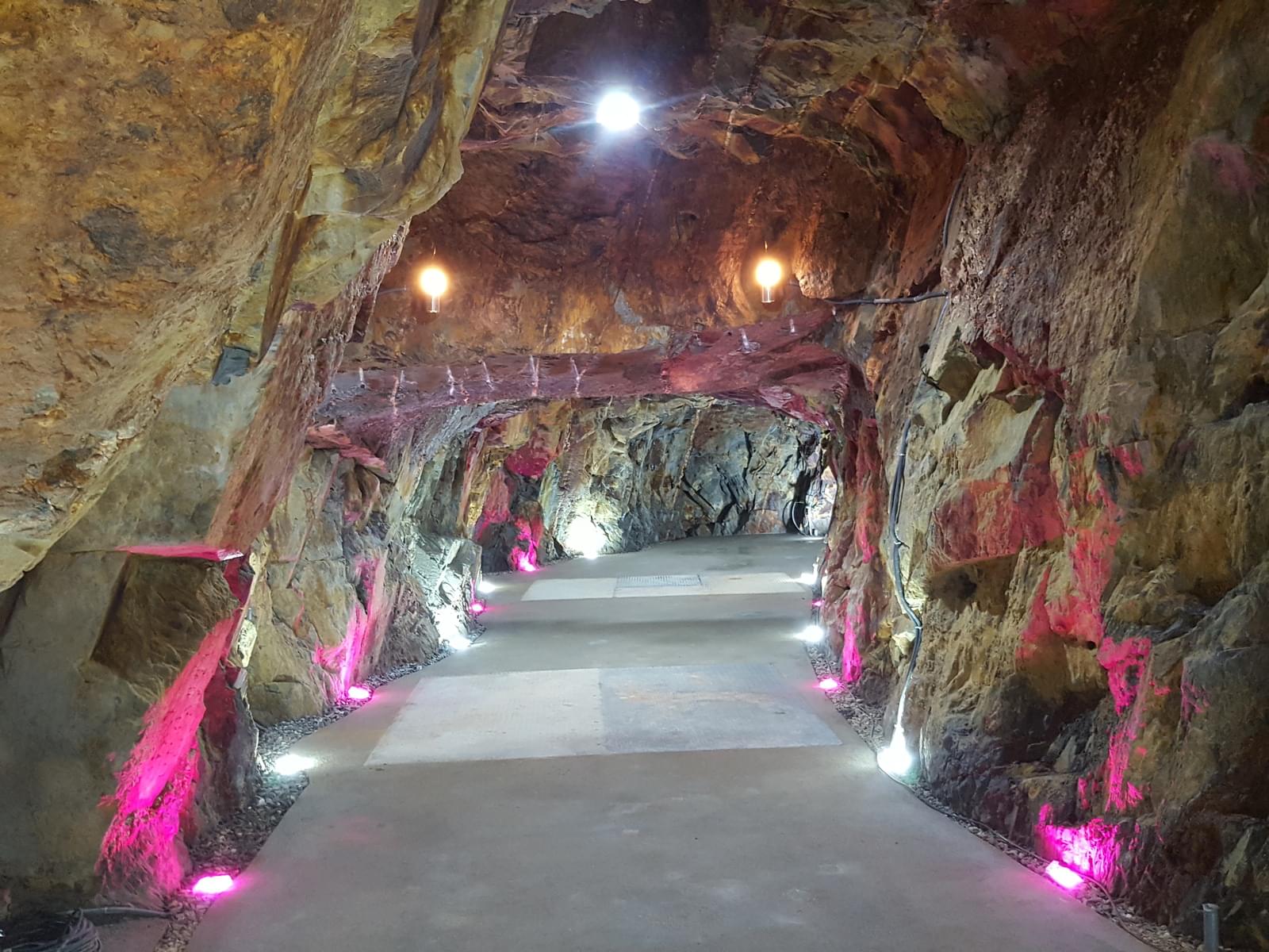 Quinta 5.3 ha, Covilhã - Imagem 14
