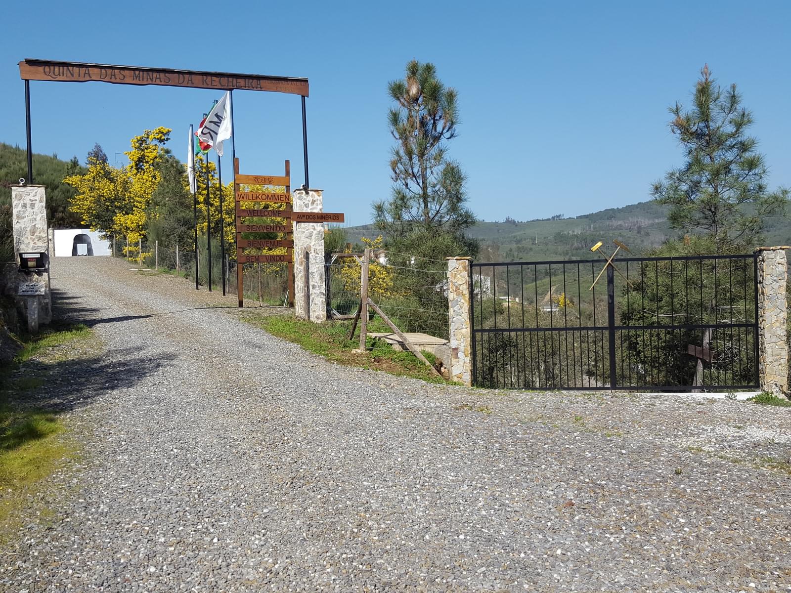 Quinta 5.3 ha, Covilhã - Imagem 41