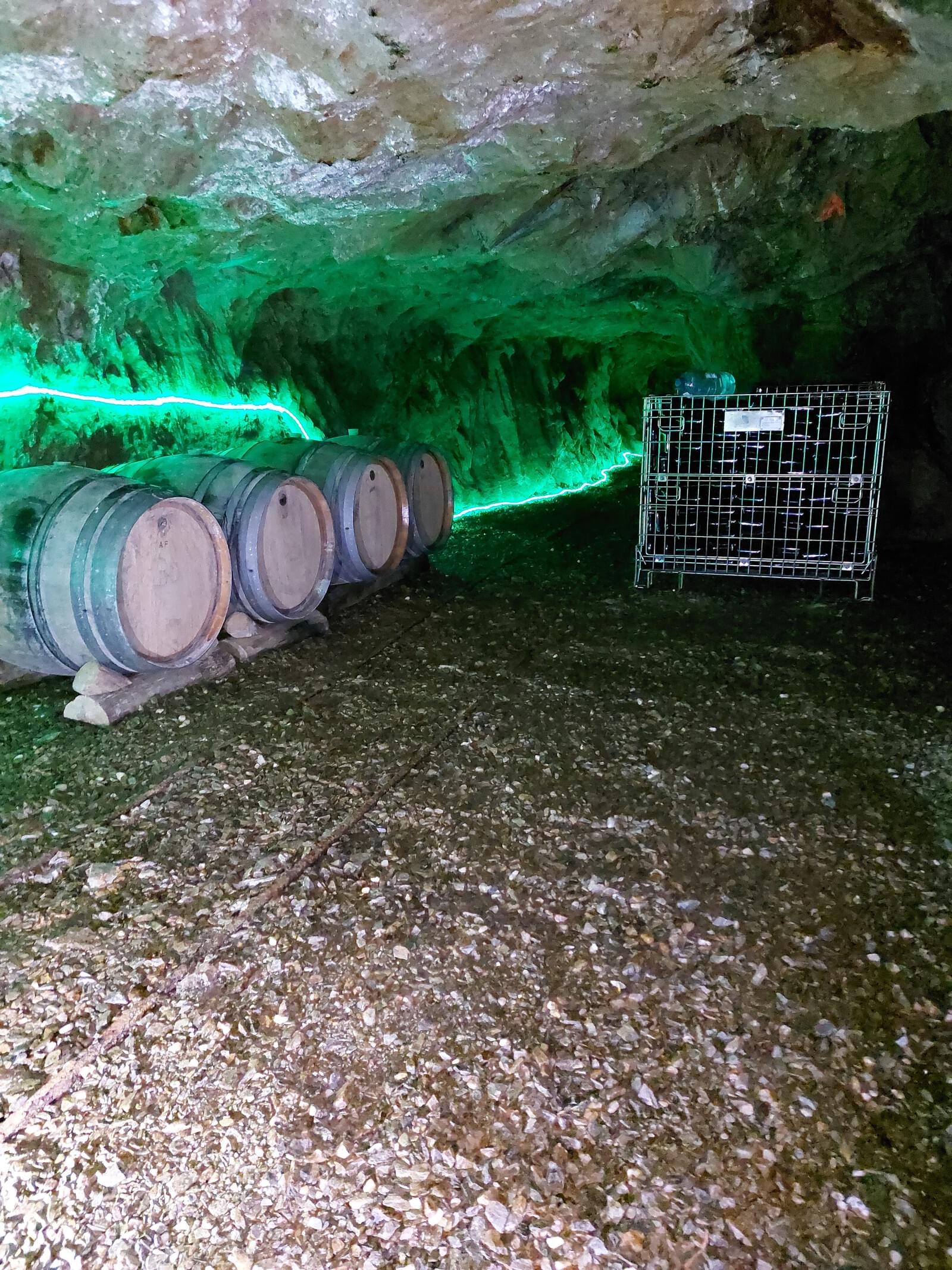 Quinta 5.3 ha, Covilhã - Imagem 43