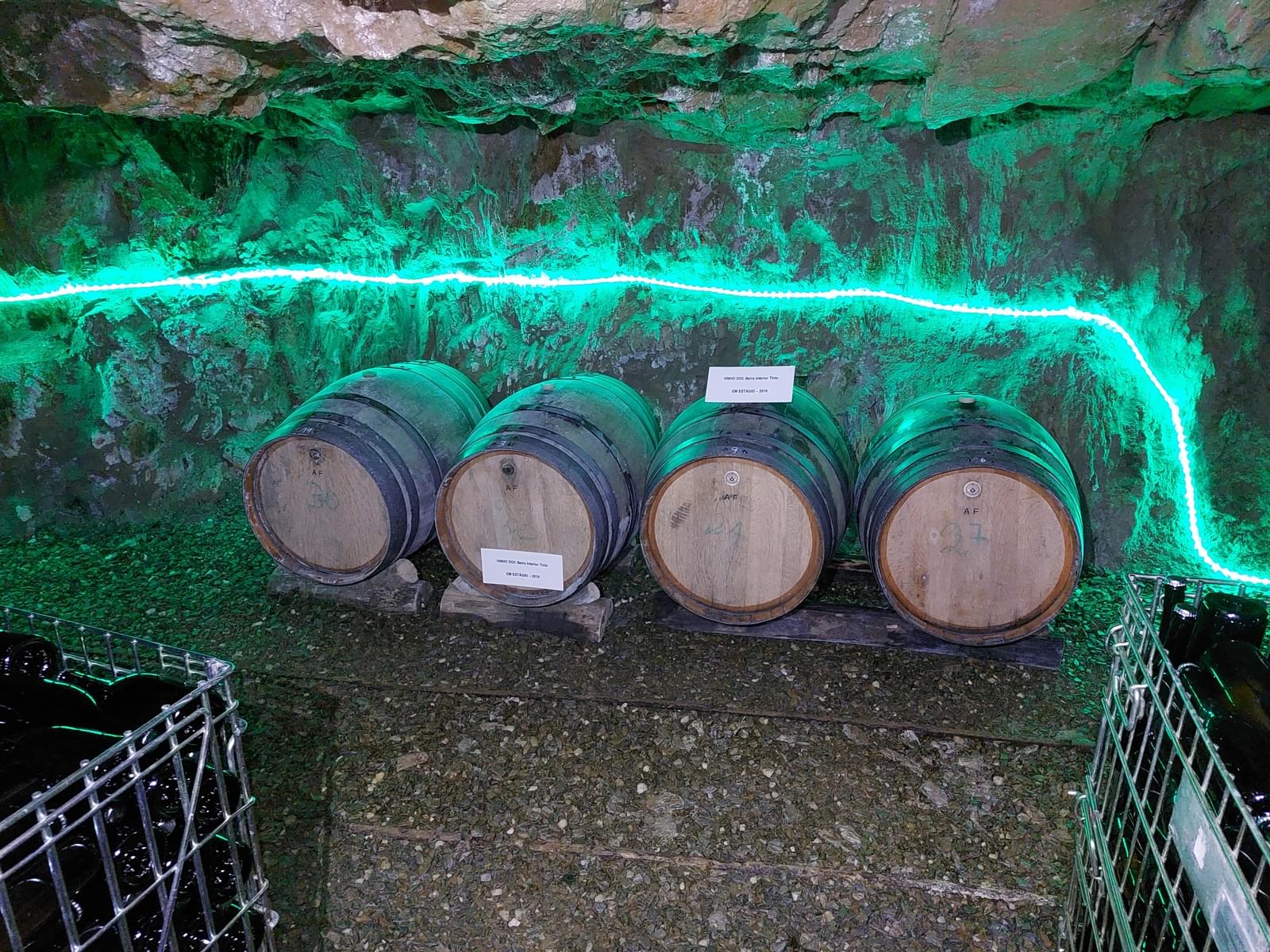 Quinta 5.3 ha, Covilhã - Imagem 44