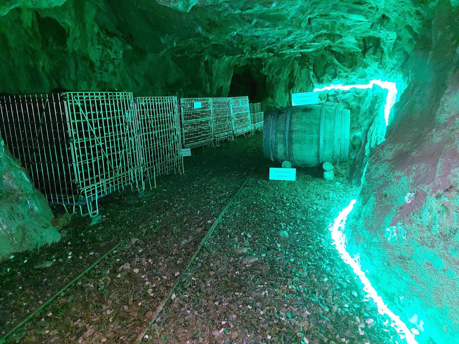 Quinta 5.3 ha, Covilhã - Imagem 45