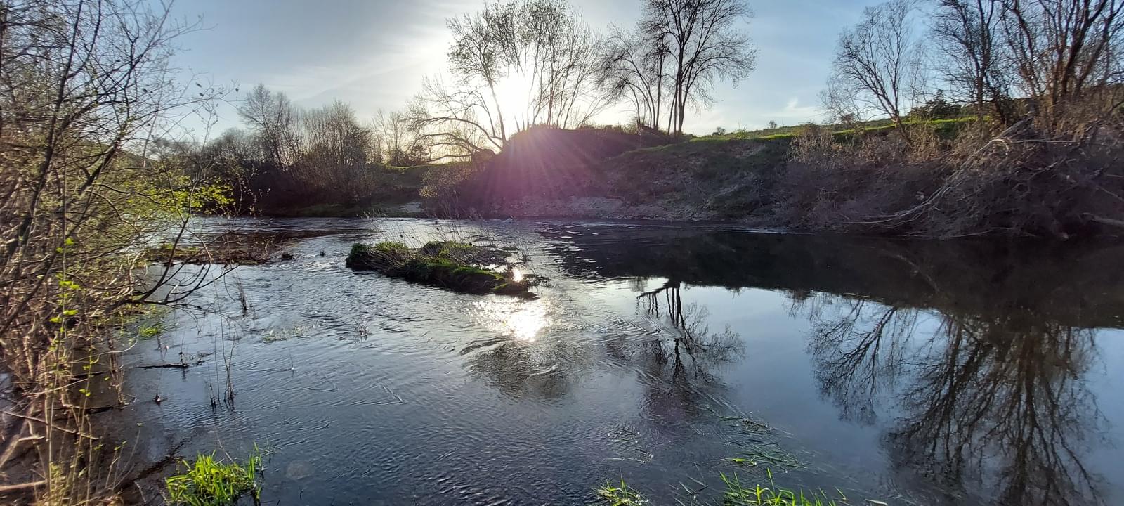 Quinta 5.3 ha, Covilhã - Imagem 48
