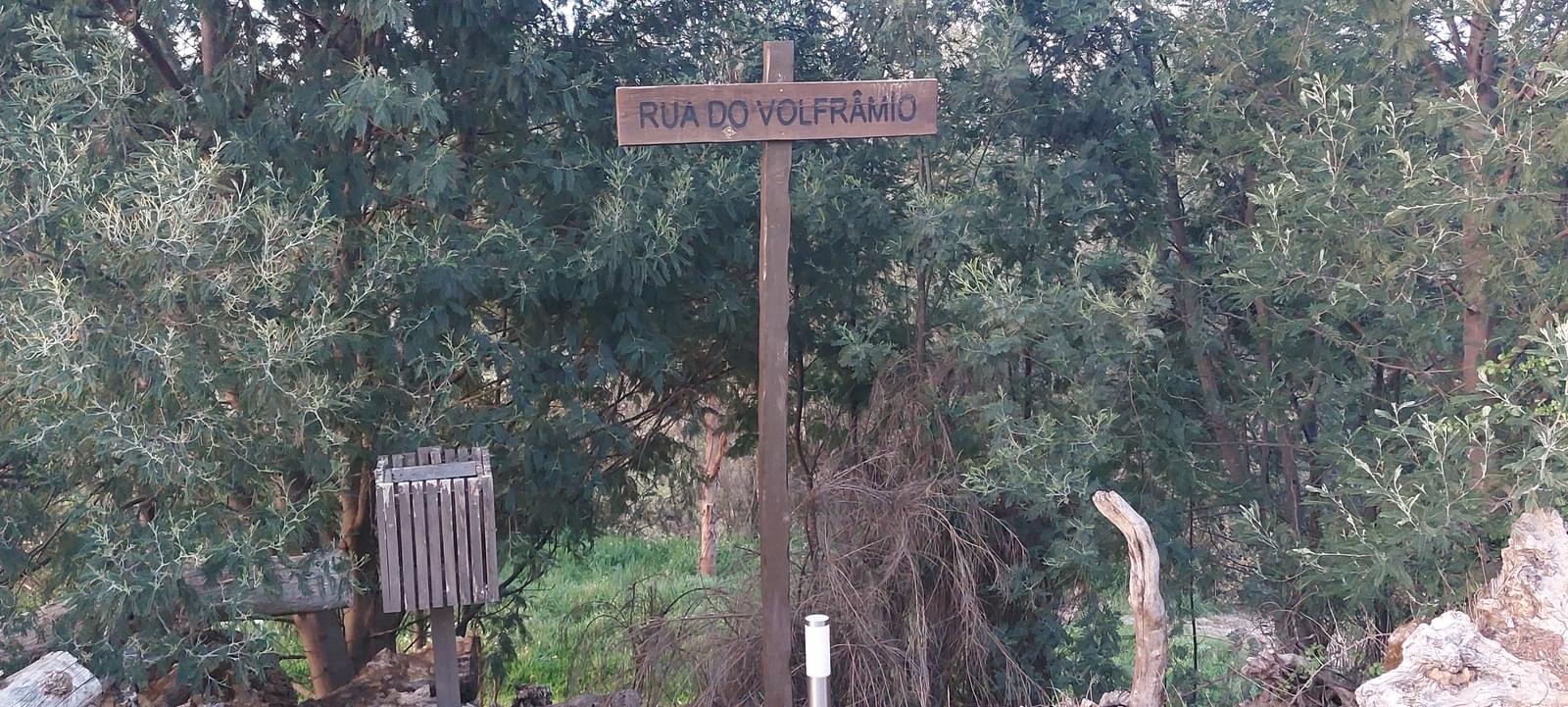 Quinta 5.3 ha, Covilhã - Imagem 49