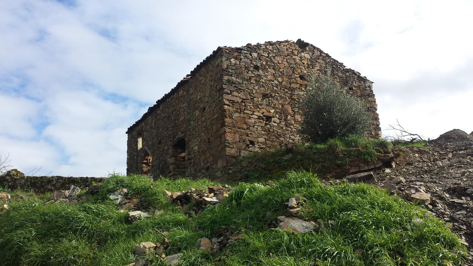 Quinta 5.3 ha, Covilhã - Imagem 18