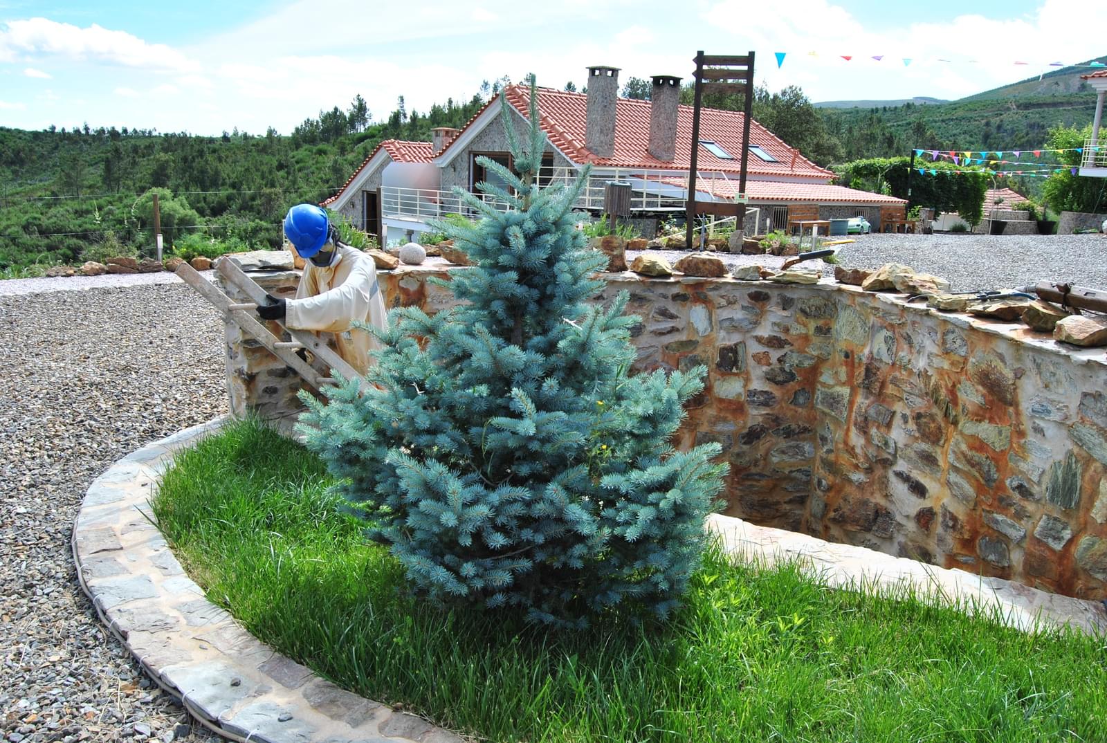 Quinta 5.3 ha, Covilhã - Imagem 61