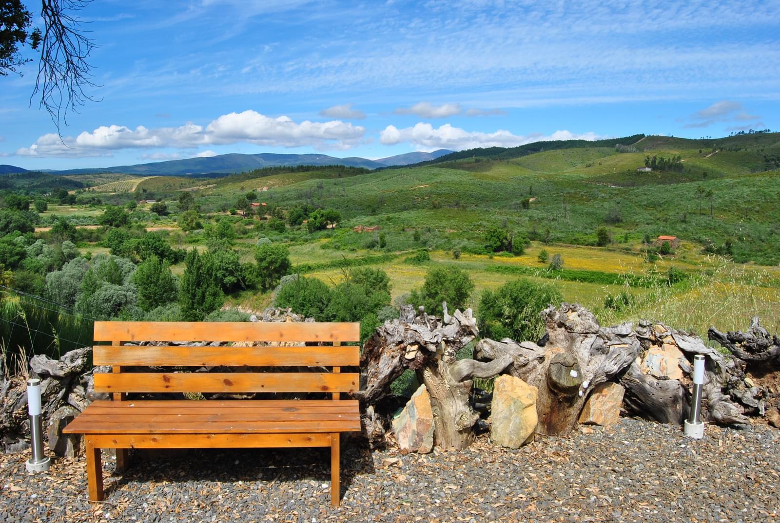 Quinta 5.3 ha, Covilhã - Imagem 63