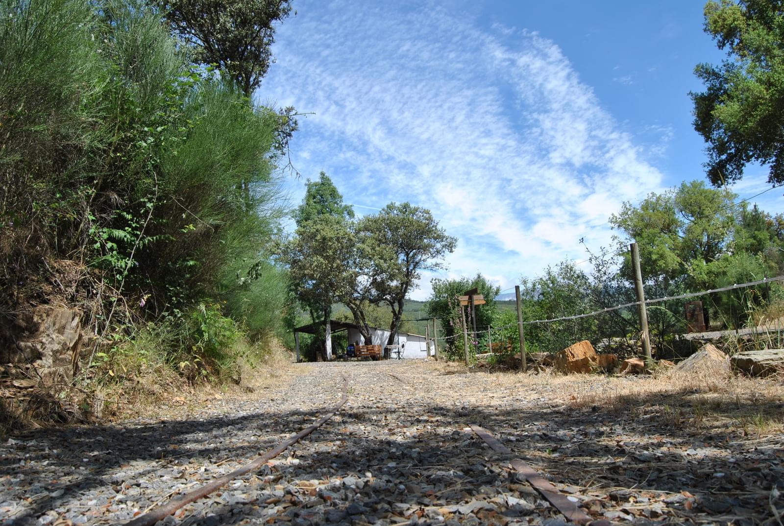 Quinta 5.3 ha, Covilhã - Imagem 72