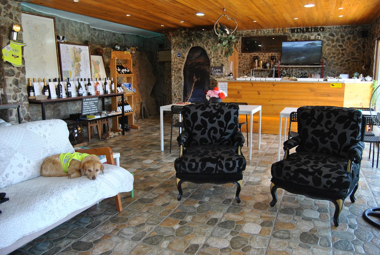 Quinta 5.3 ha, Covilhã - Imagem 81
