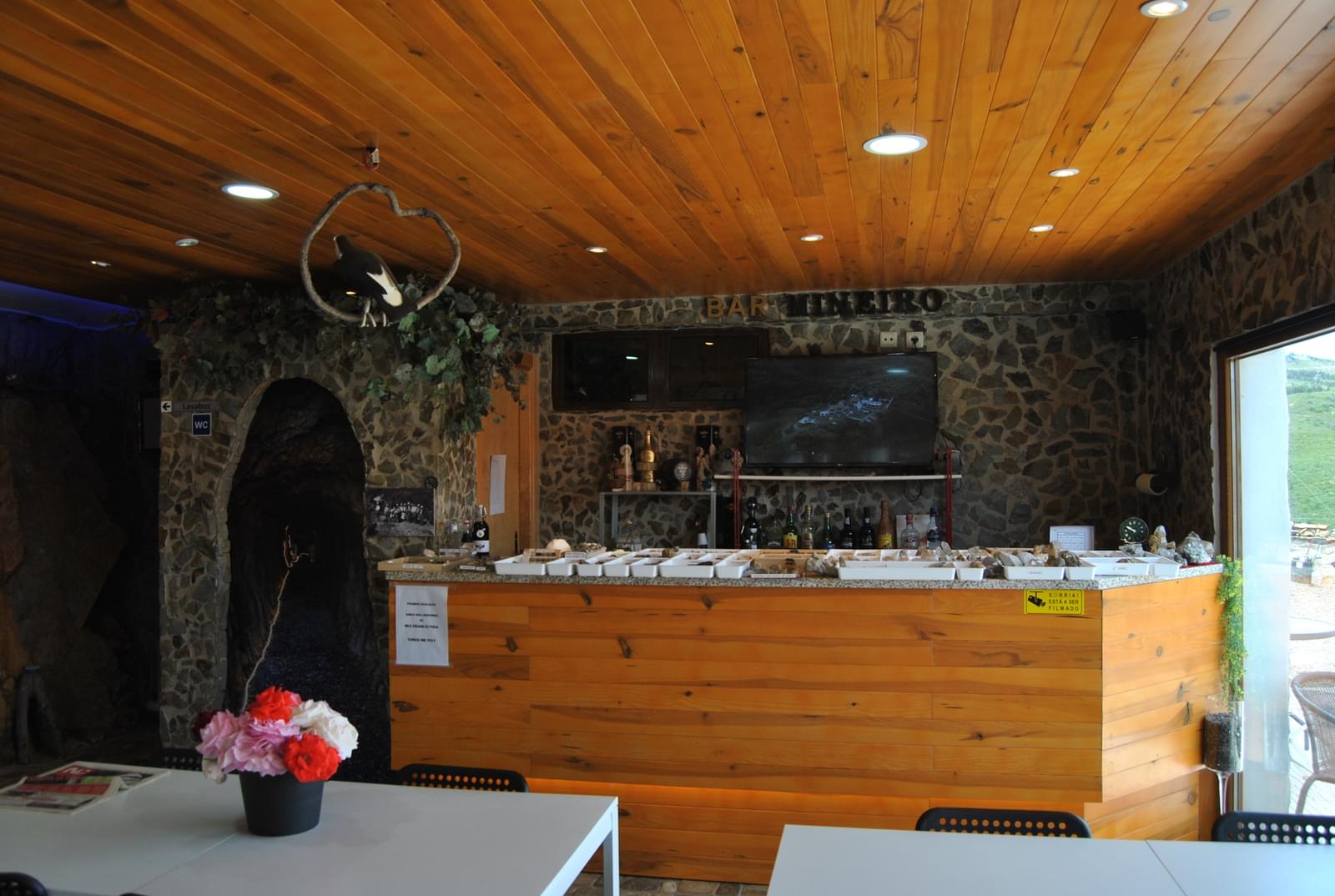 Quinta 5.3 ha, Covilhã - Imagem 82