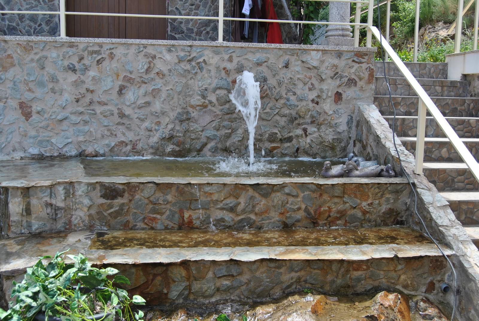 Quinta 5.3 ha, Covilhã - Imagem 88