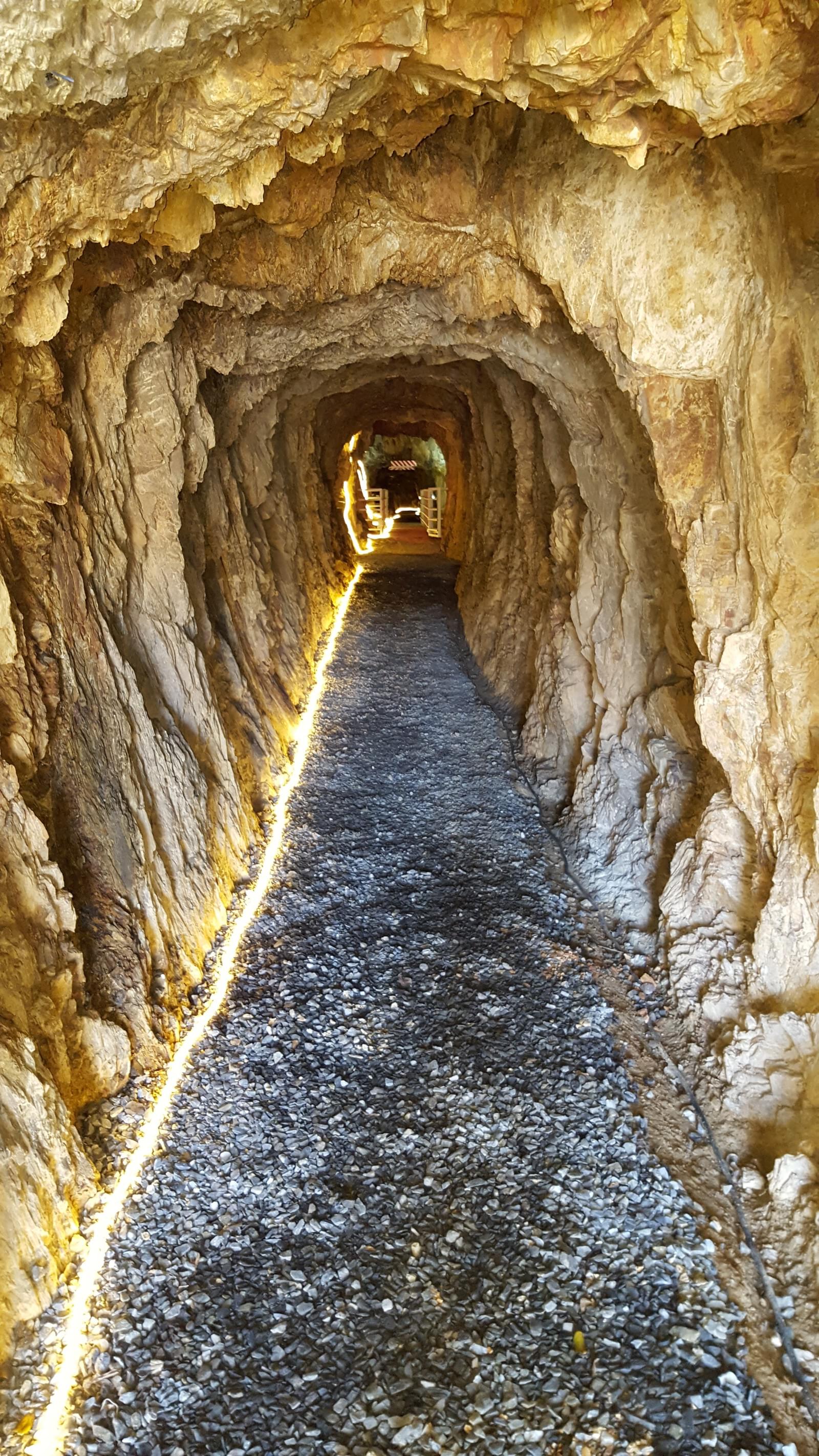 Quinta 5.3 ha, Covilhã - Imagem 90