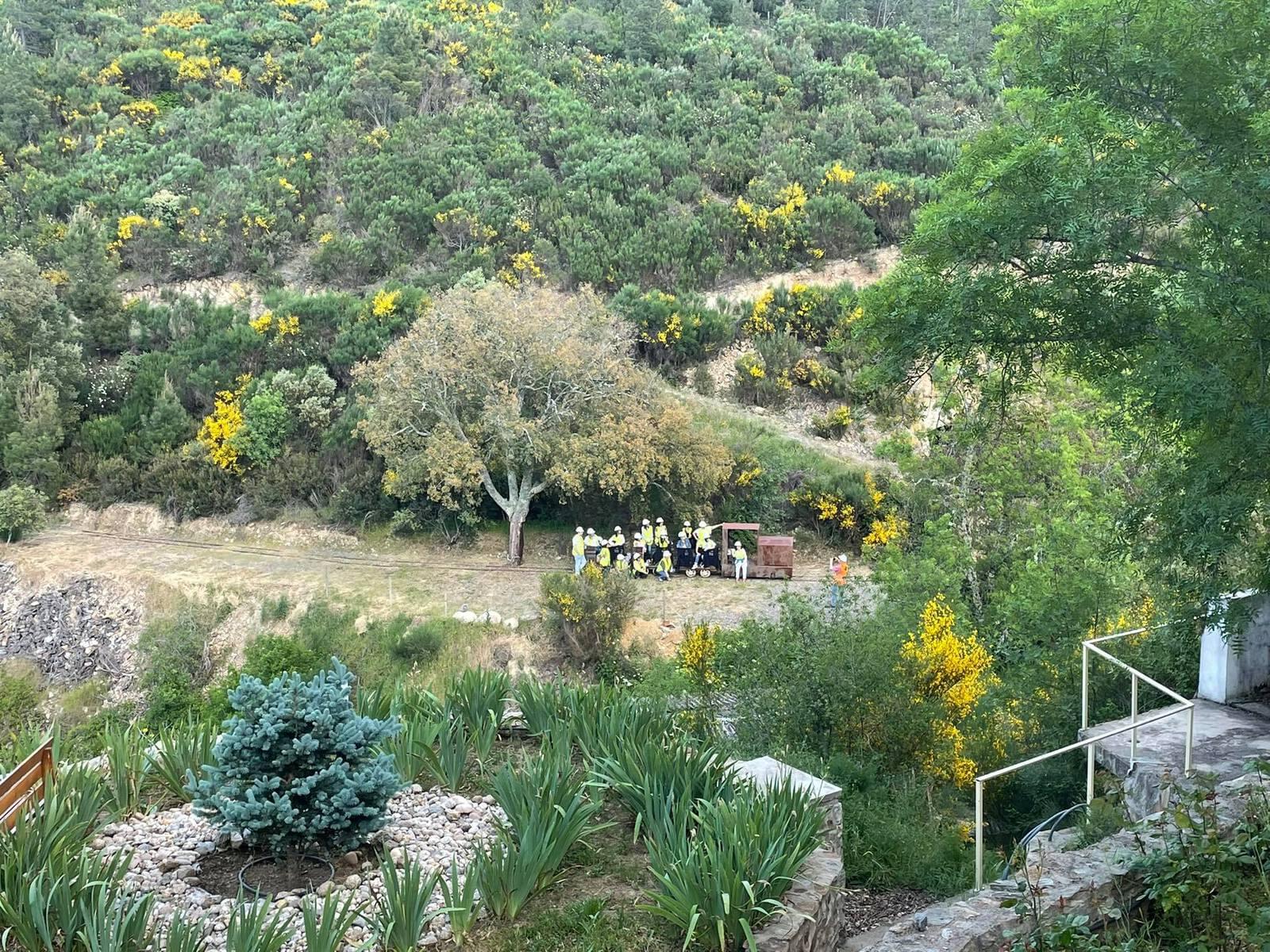 Quinta 5.3 ha, Covilhã - Imagem 106