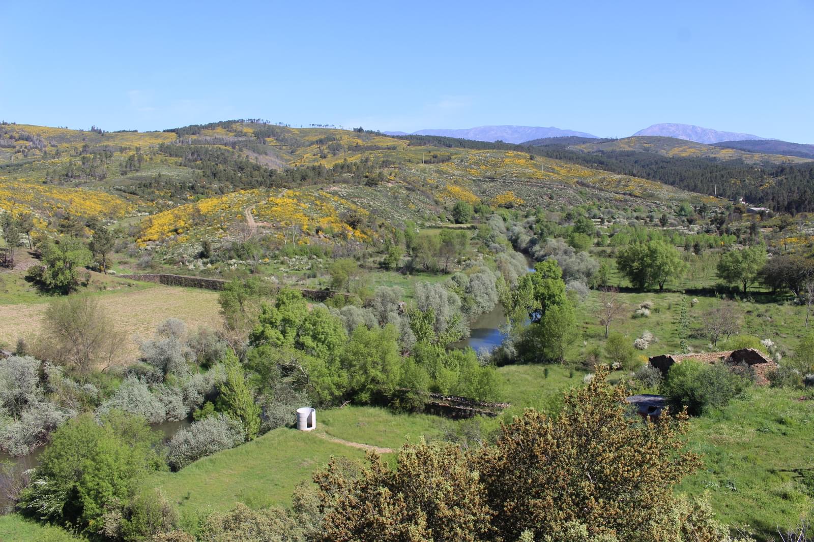 Quinta 5.3 ha, Covilhã - Imagem 105