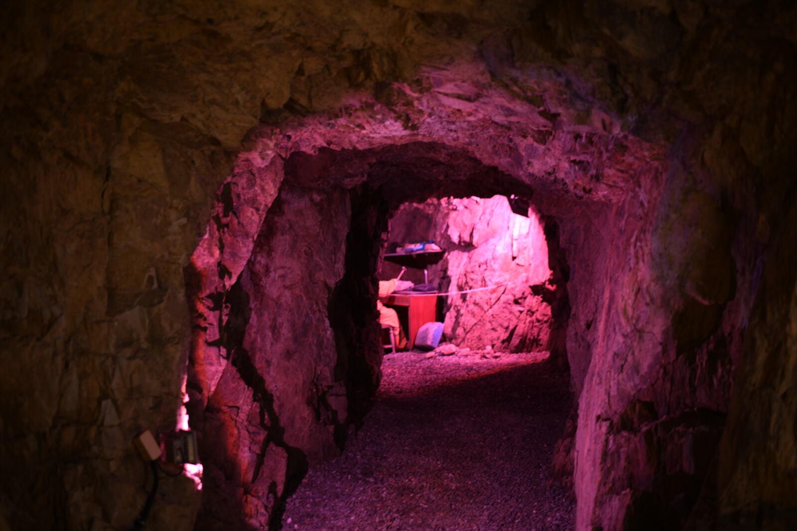 Quinta 5.3 ha, Covilhã - Imagem 83