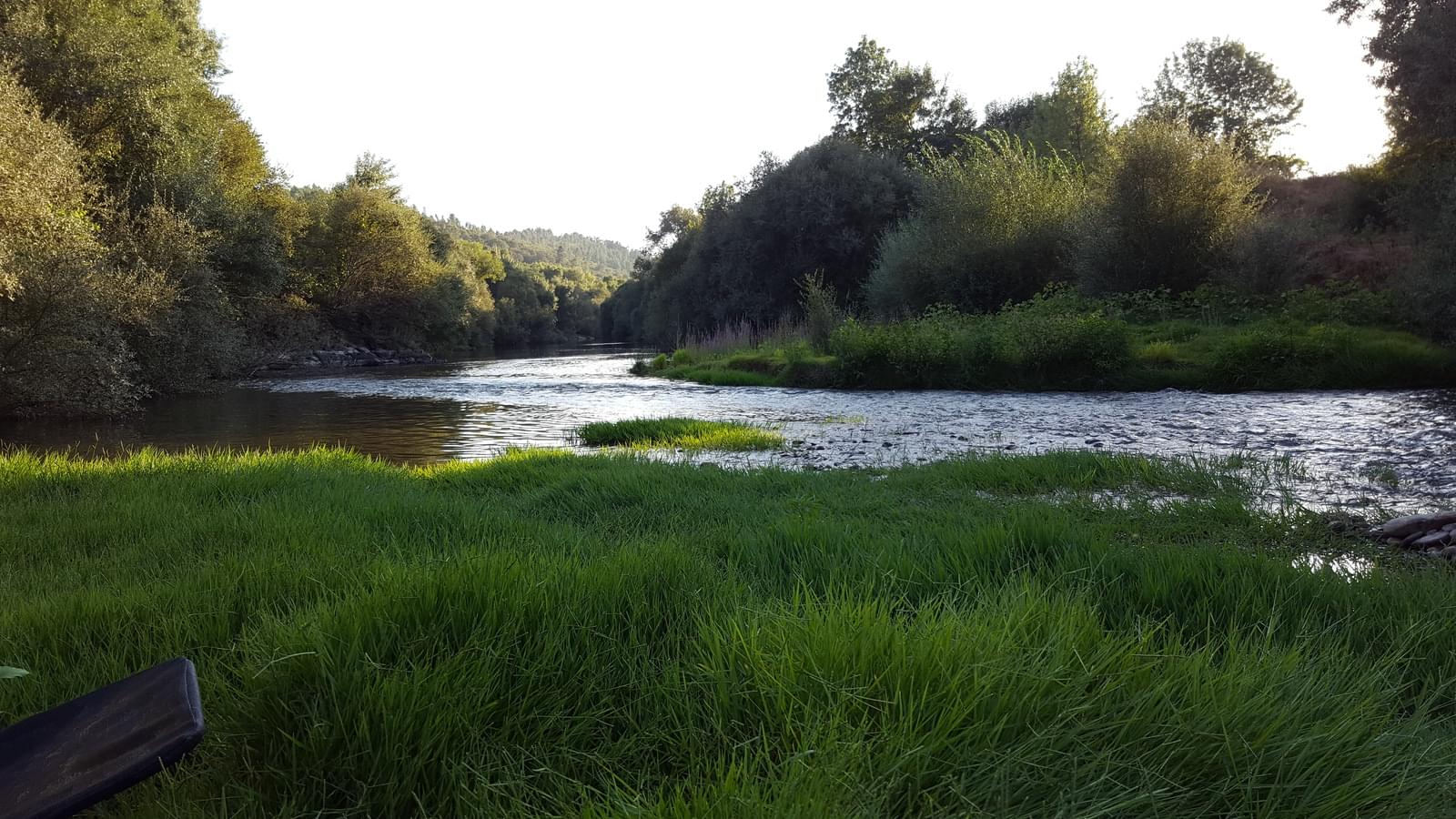 Quinta 5.3 ha, Covilhã - Imagem 113