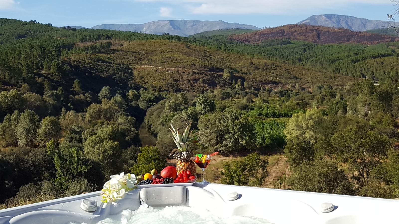 Quinta 5.3 ha, Covilhã - Imagem 116