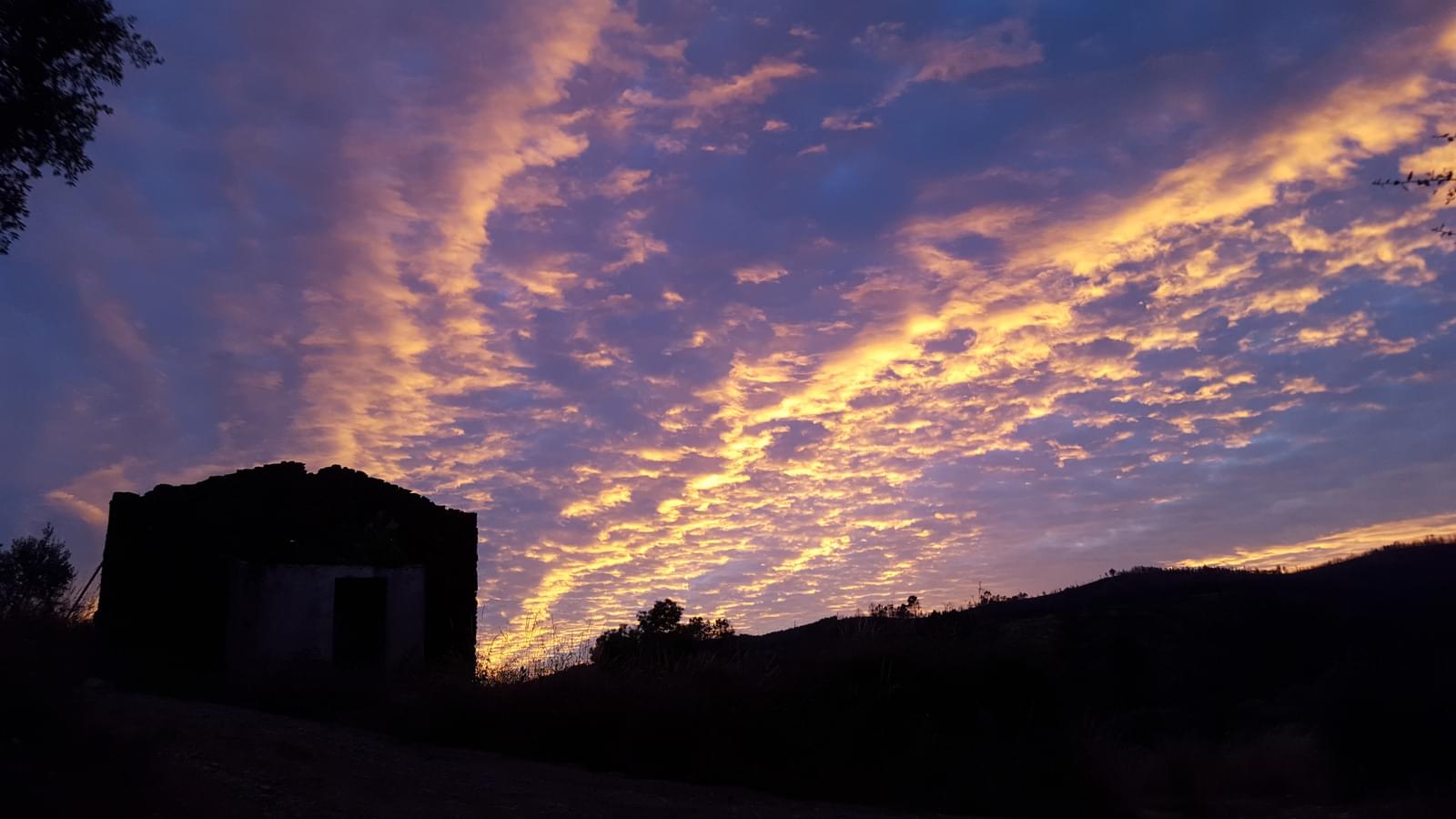 Quinta 5.3 ha, Covilhã - Imagem 122