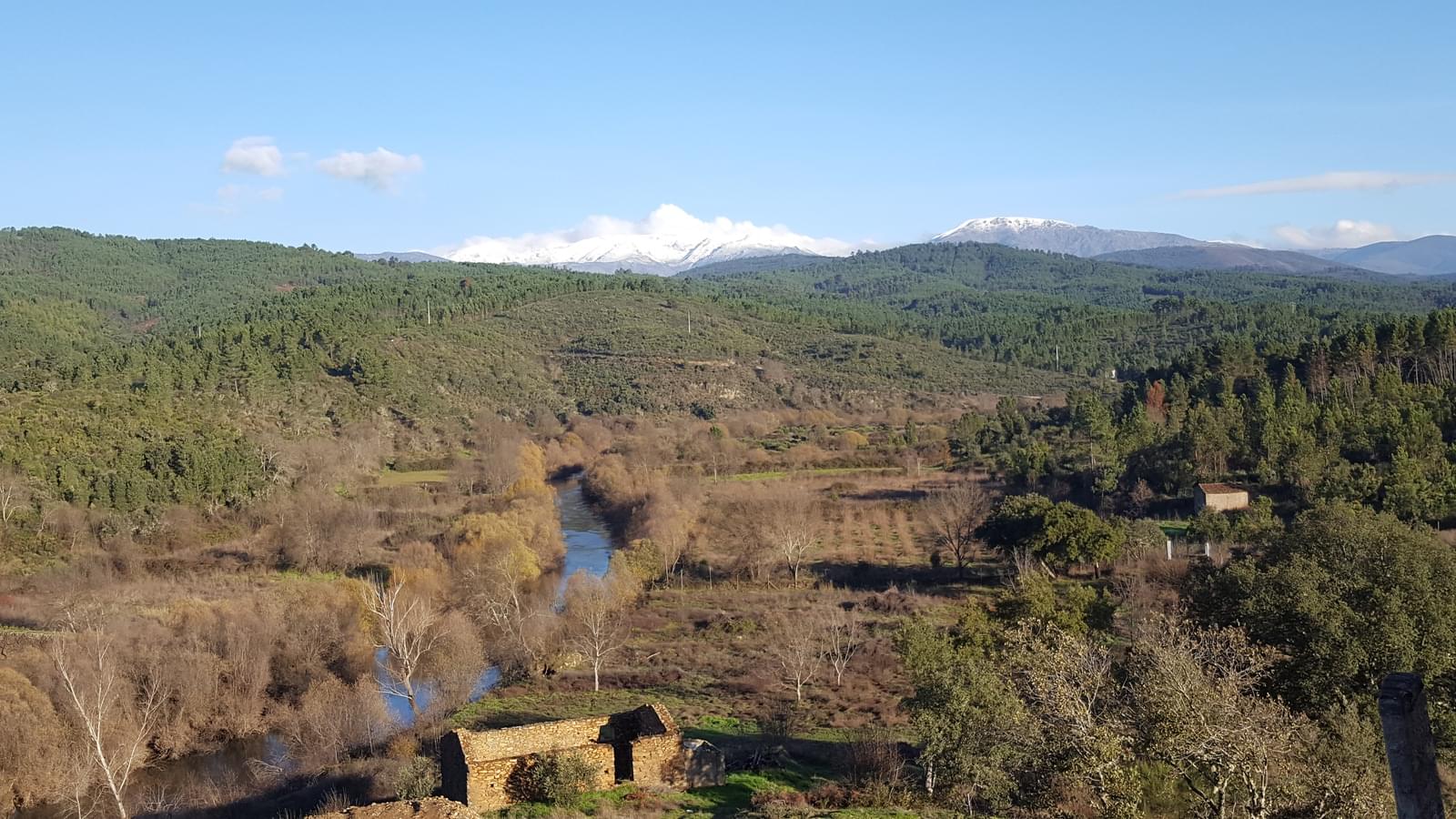 Quinta 5.3 ha, Covilhã - Imagem 119