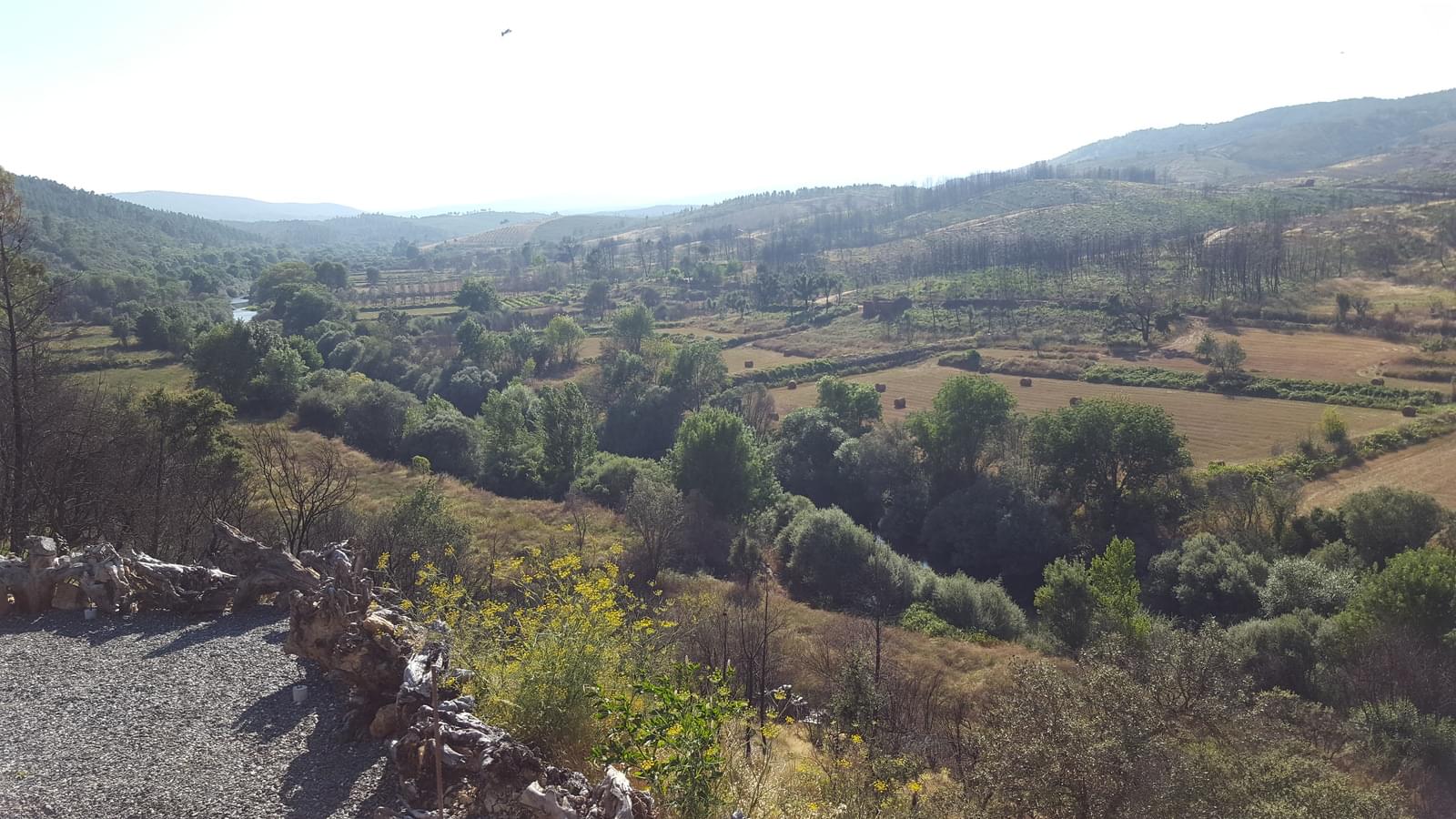 Quinta 5.3 ha, Covilhã - Imagem 121