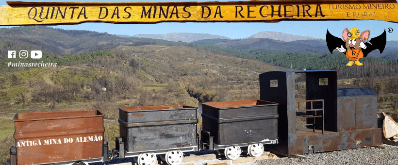 Quinta 5.3 ha, Covilhã - Imagem 93