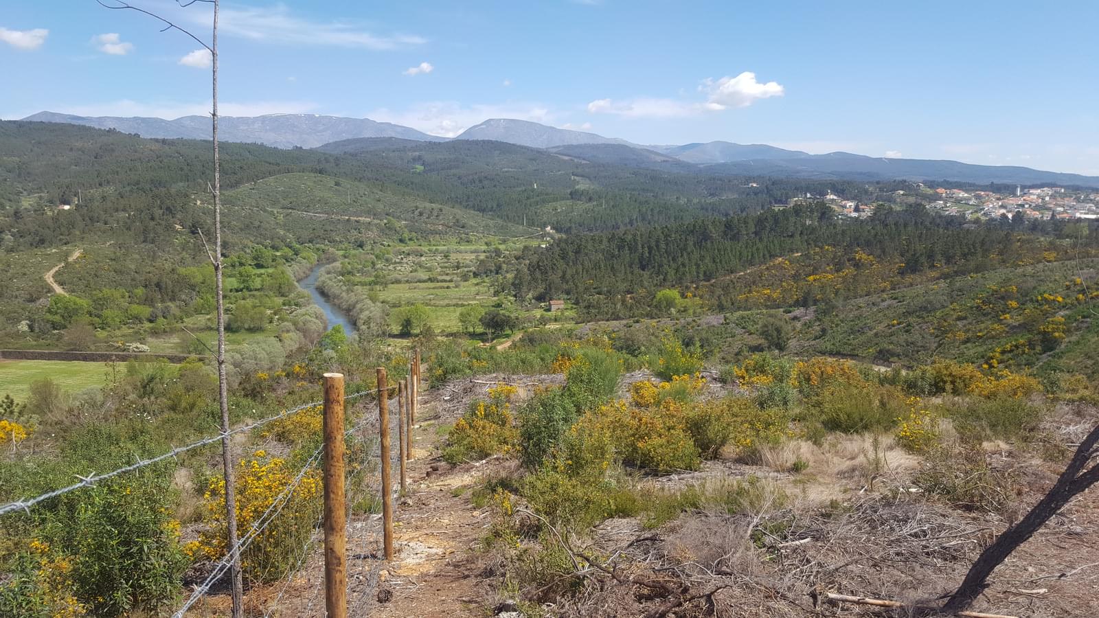 Quinta 5.3 ha, Covilhã - Imagem 103
