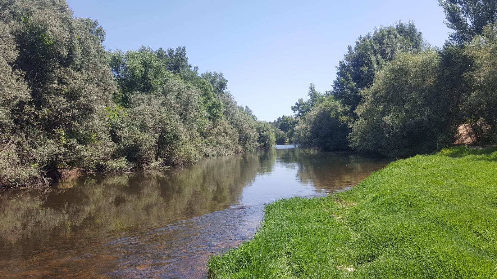 Quinta 5.3 ha, Covilhã - Imagem 114