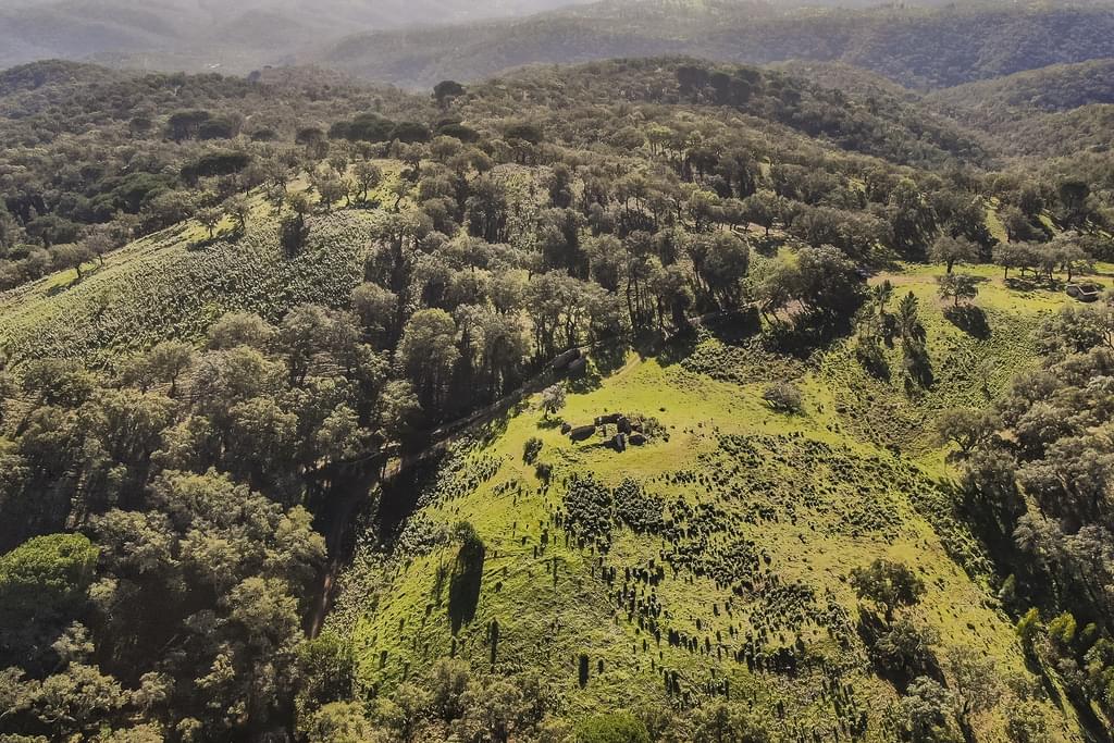 Rural land 13.0 ha, Grandola 4046657894