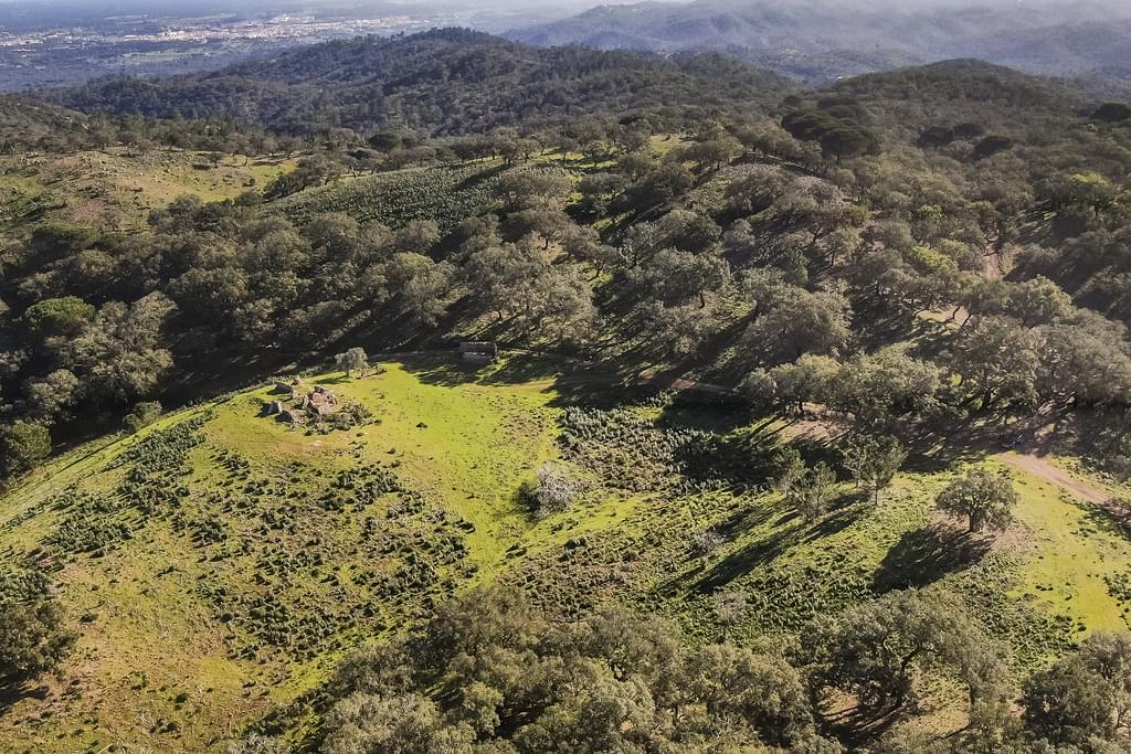 Rural land 13.0 ha, Grandola 4046657894