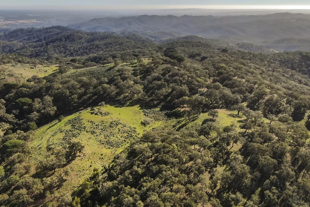 Rural land 13.0 ha, Grandola 4046657894