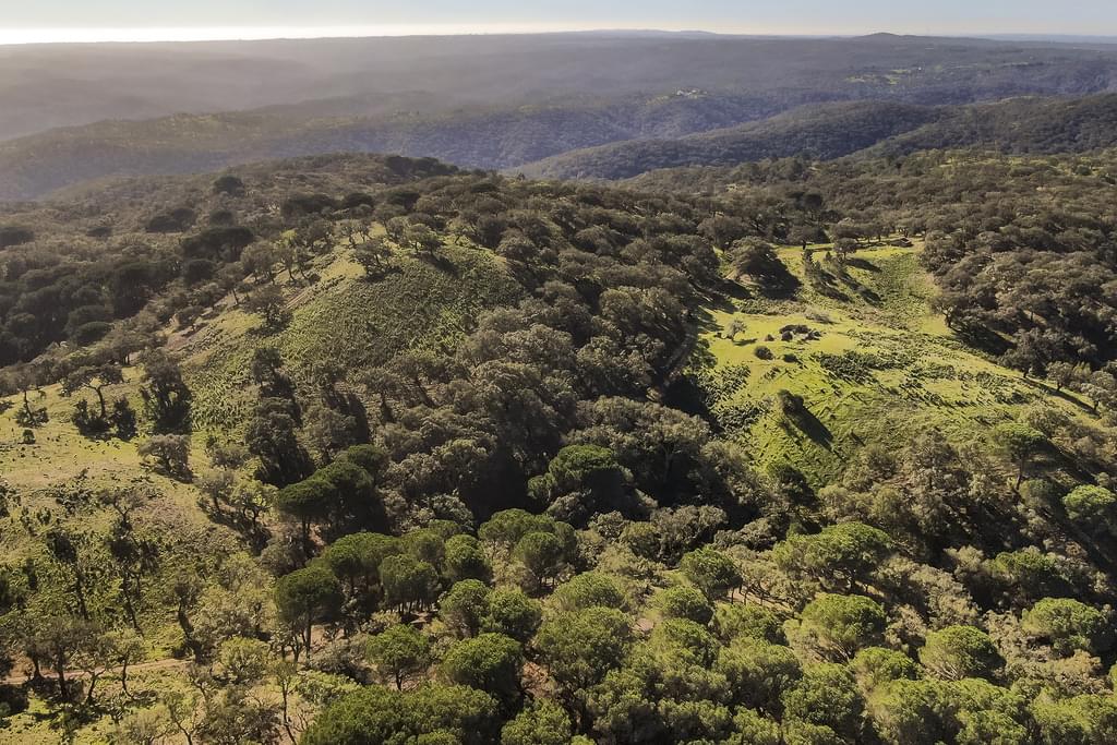 Rural land 13.0 ha, Grandola 4046657894