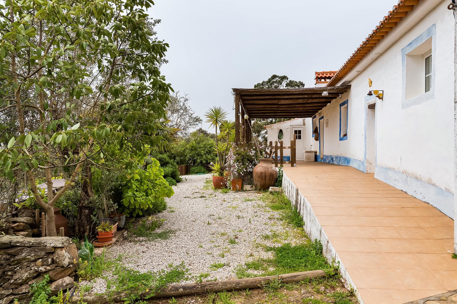 Herdade 16.3 ha, Mosteiros, Arronches - Imagem 4