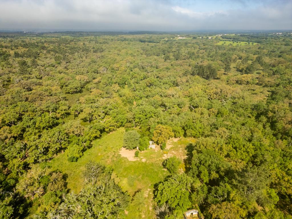 Mixed land 4.3 ha, Santa Cruz, Santiago do Cacem 2591084422