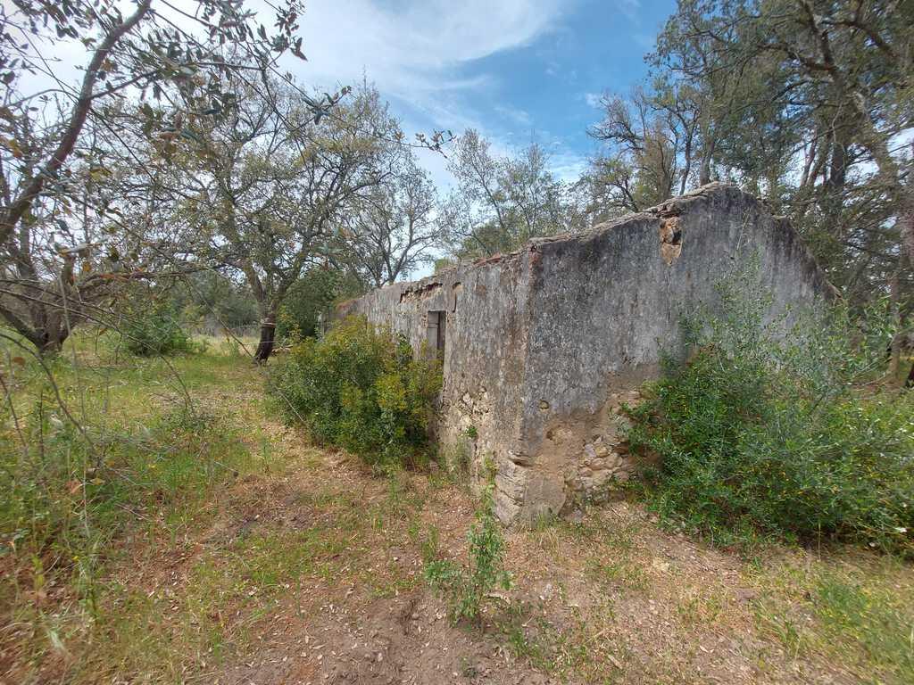 Mixed land 4.3 ha, Santa Cruz, Santiago do Cacem 2591084422