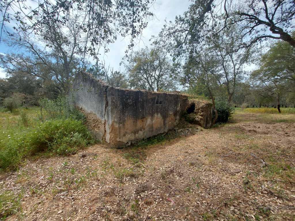 Mixed land 4.3 ha, Santa Cruz, Santiago do Cacem 2591084422