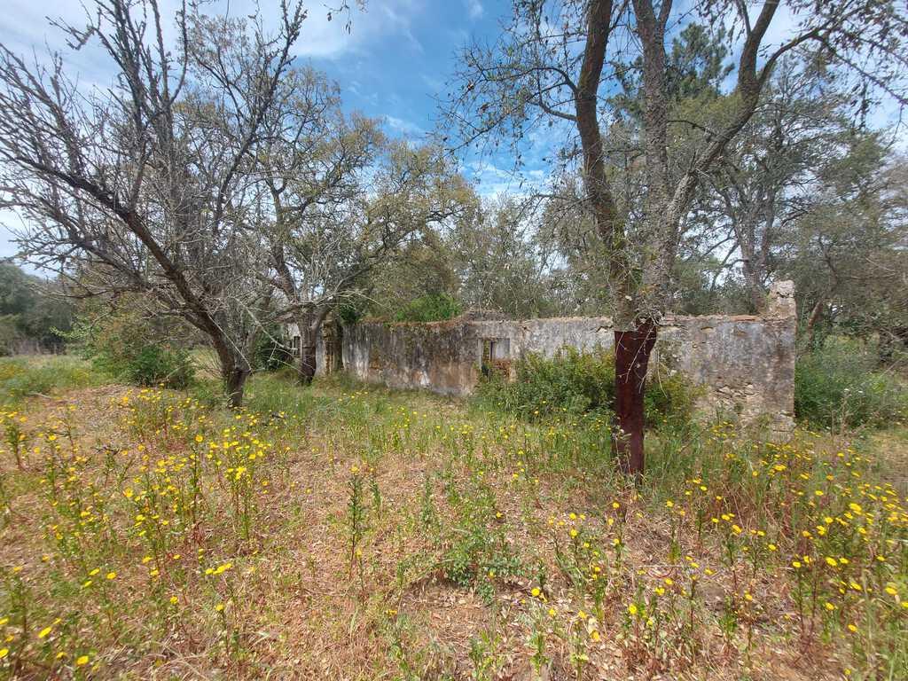 Mixed land 4.3 ha, Santa Cruz, Santiago do Cacem 2591084422