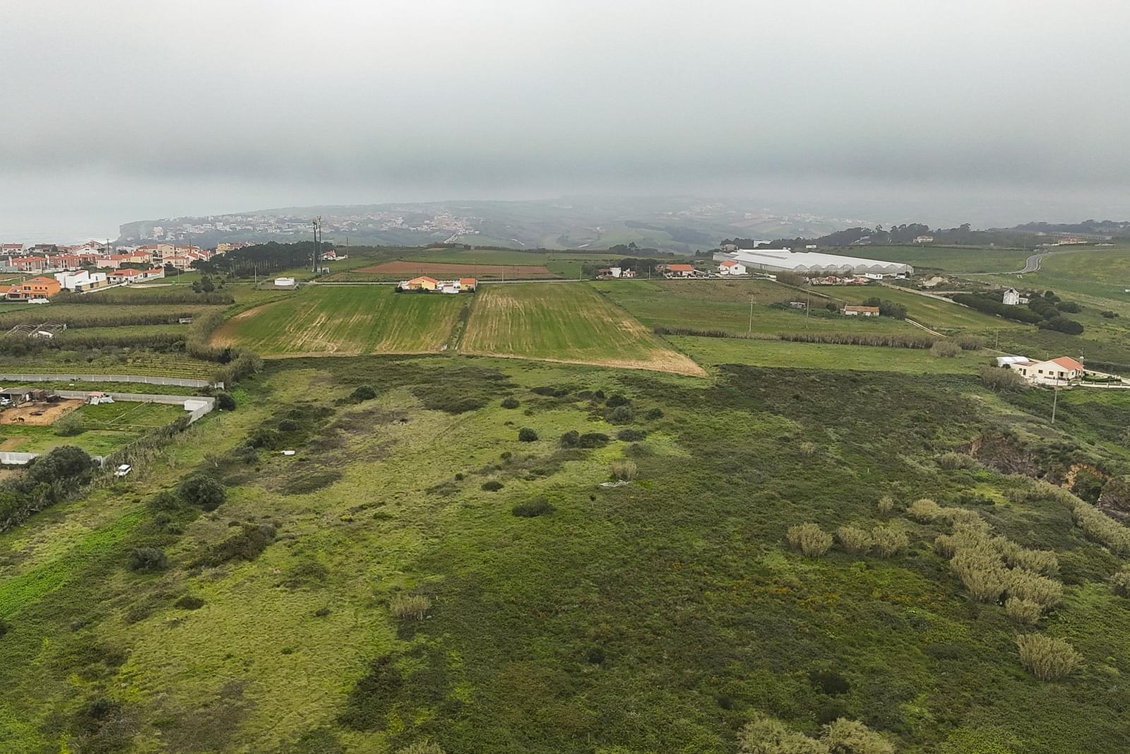 Terreno Rústico 2.7 ha, Santo Isidoro, Mafra - Imagem 7