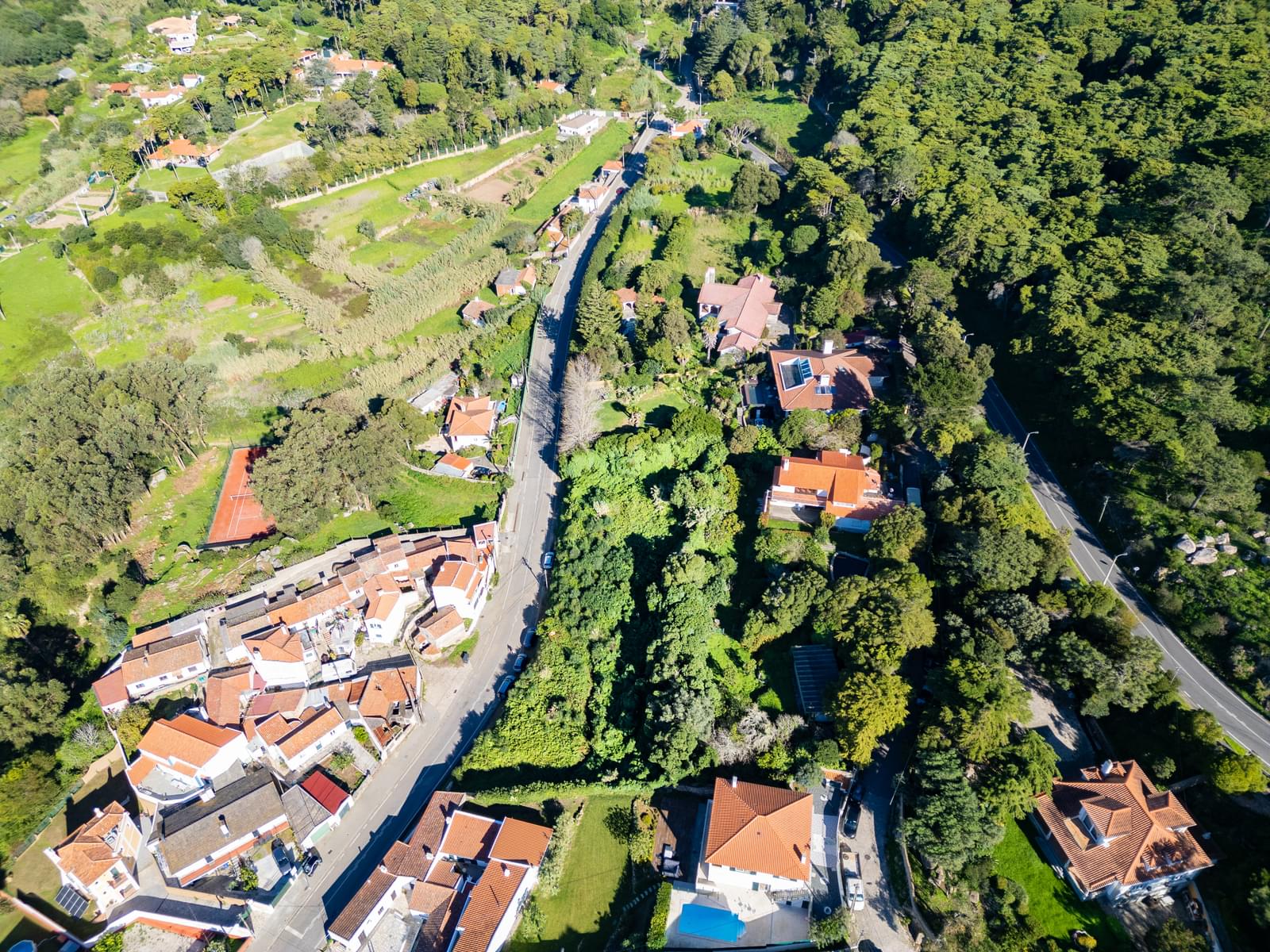 Terreno Urbano 2240 m2, Malveira da Serra, Cascais - Imagem 5
