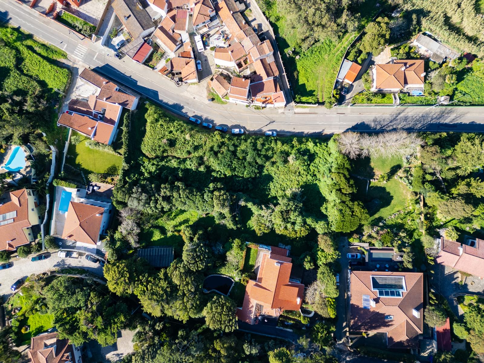 Terreno Urbano 2240 m2, Malveira da Serra, Cascais - Imagem 1